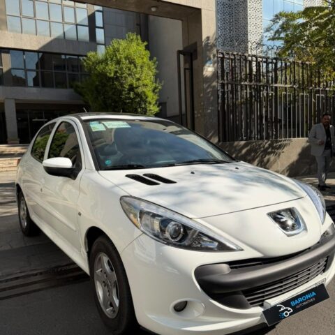 207 پاناروما دنده با رینگ